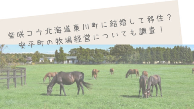 柴咲コウ北海道東川町に結婚して移住？安平町の牧場経営についても調査！
